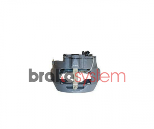 pinzameritorlrg536sxrev-bsbs517.png