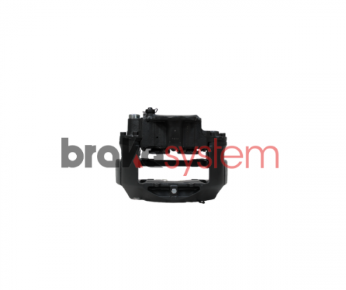 pinzameritorlrg573rev-bsbs505.png