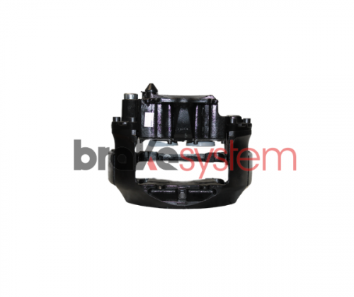 pinzameritorlrg720rev-bsbs637.png