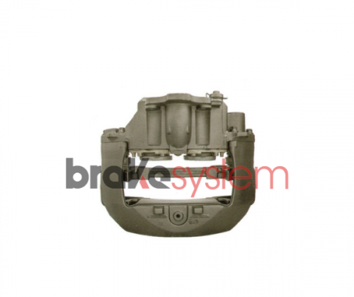 pinzameritorlrg729rev-bsbs622.png