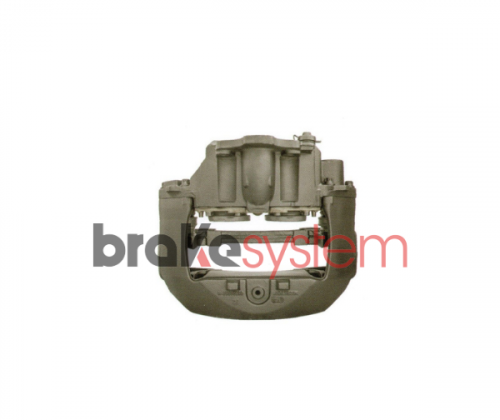 pinzameritorlrg730rev-bsbs623.png