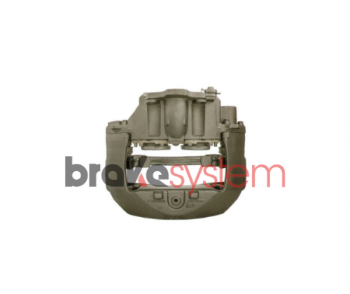 pinzameritorlrg739rev-bsbs628.png